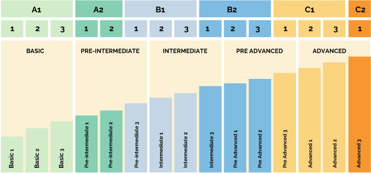 PORTUGUESE COURSES